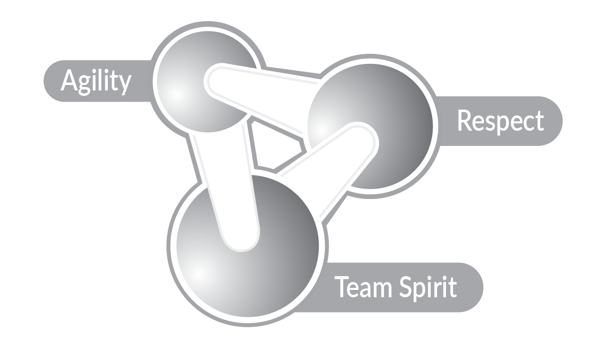 Probewell Lab | About Us | Core Value | Agility | Respect | Team Spirit
